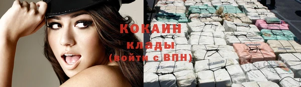 молекула духа Алзамай