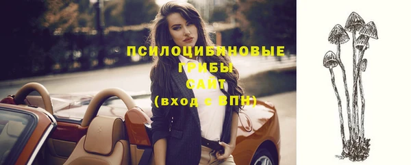 молекула духа Алзамай