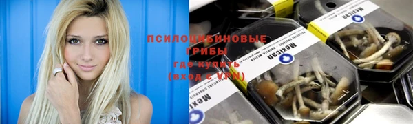каннабис Алексин