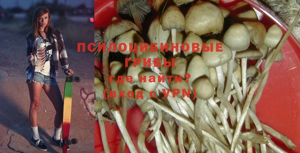 бутират Алексеевка