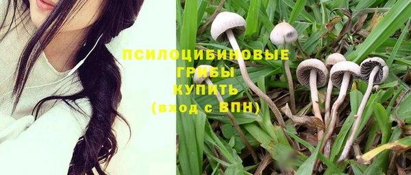 СК Куйбышев