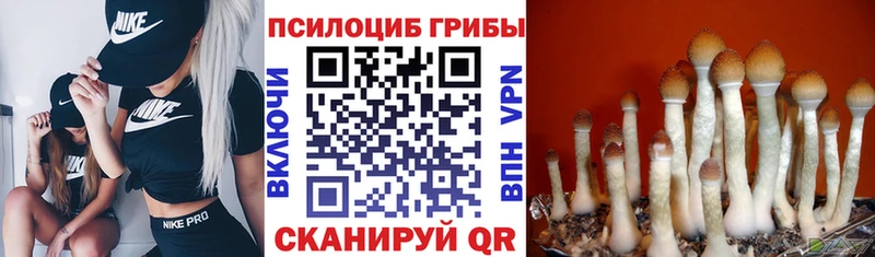 купить закладку  OMG ссылки  Псилоцибиновые грибы мухоморы  Дзержинск 